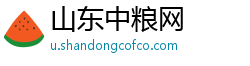 山东中粮网